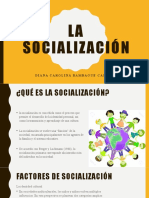 La Socialización