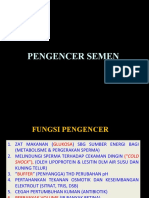 2 Pengenceran 97-2003