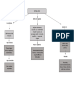 Mapa Conceptual, Sistema Oseo.