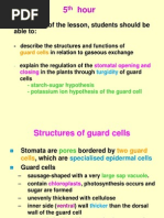 Download stomata by Welkom Biologyproject SN49768180 doc pdf