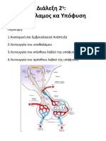 2-Υποθάλαμος και Υπόφυση