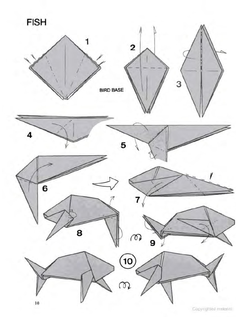 Adolfo Cerceda Fish Facil Animales Marinos C | PDF