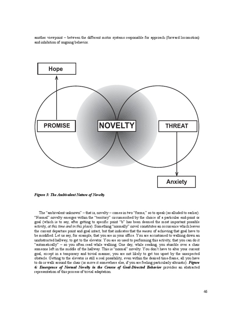 Figure 5: The Ambivalent Nature of Novelty | PDF | Career & Growth