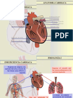 03 Insuficiencia Cardiaca