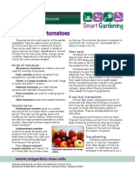 How To Grow Tomatoes: WWW - Migarden.msu - Edu