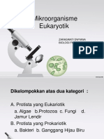 Mikroorganisme Eukaryotik 1