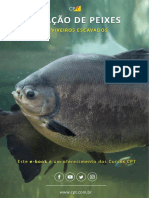 Criação de Peixes em Tanques Escavados