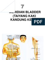 MERIDIAN BLADDER