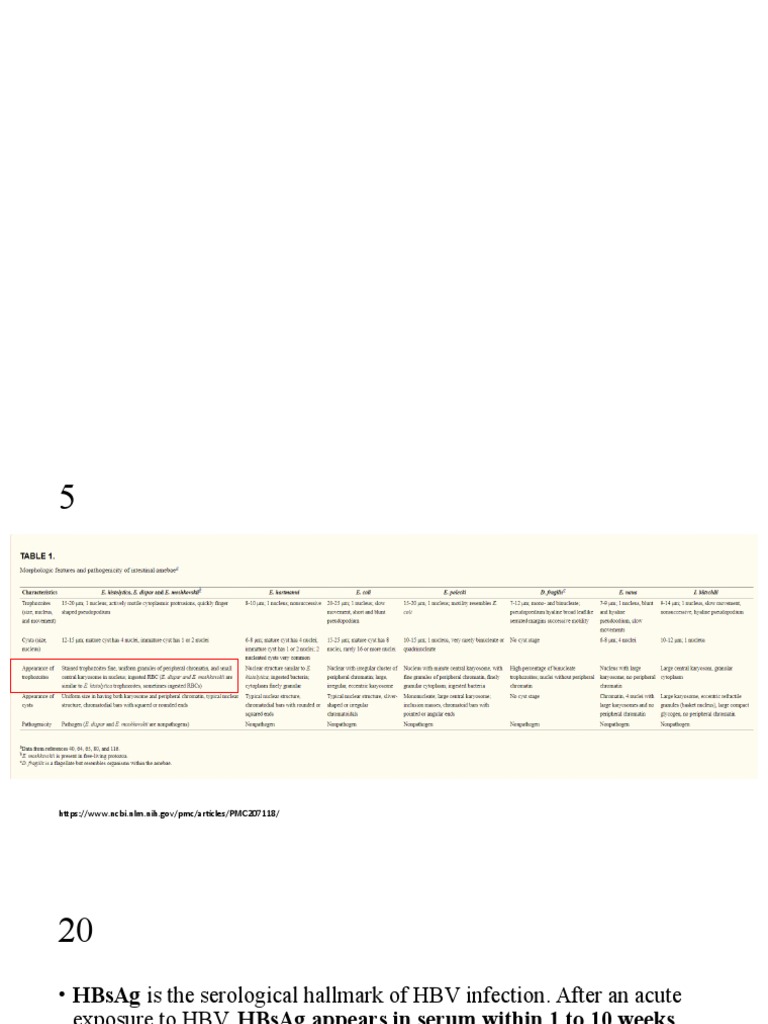 Understanding HBV Markers and Treatments | PDF