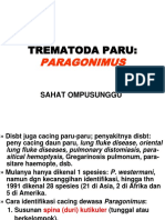 9PARAGONIMUS