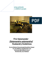 (Salamandra Salamandra) : Fire Salamander Husbandry Guidelines