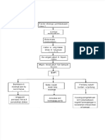 PDF Pathway Miopi