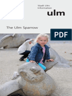 Ulm Sparrow Flyer