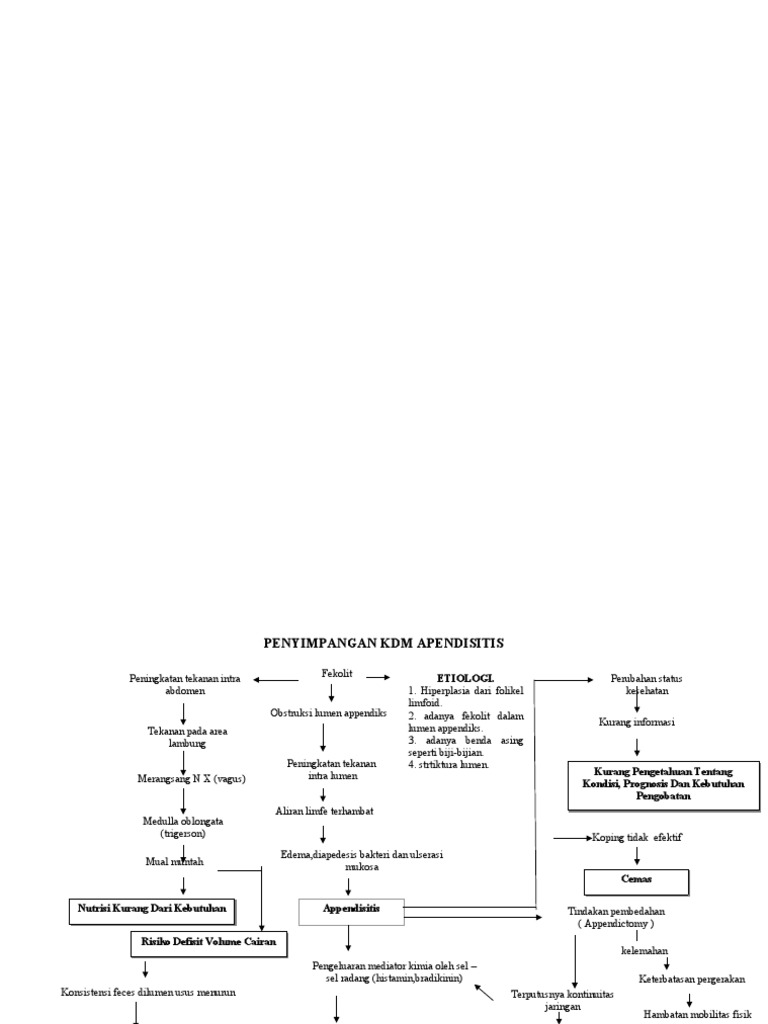 Penyimpangan KDM App | PDF
