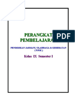 RPP Ix