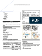 Anatomy Physiology Lab Lecture 1: Histology