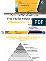 Valuación de Ganado UPAV