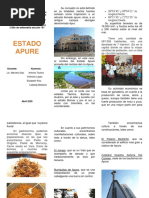 Símbolos Patrios del Estado Apure | PDF