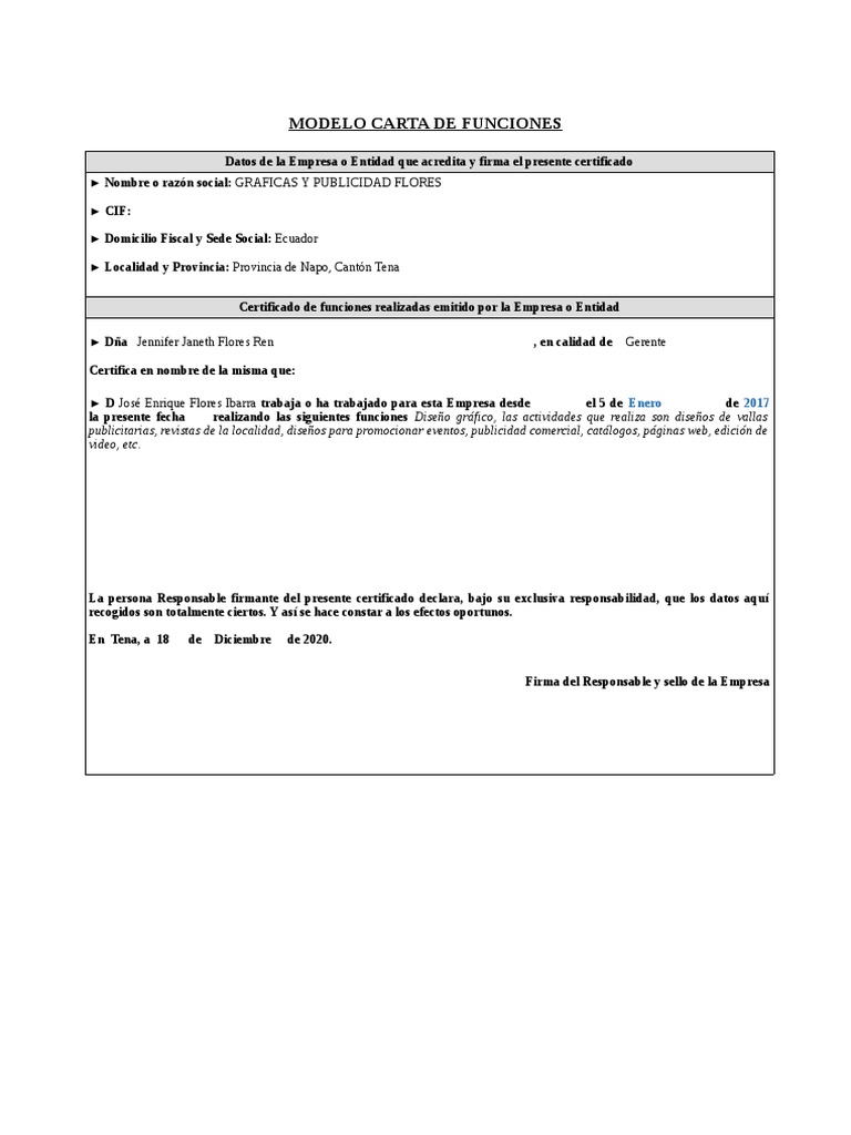 Modelo Carta de Funciones PDF