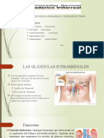 Insuficiencia Suprarrenal y Sindrome de Cushing.