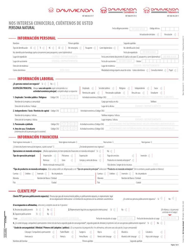 Formato Nic Persona Natural V0 - 17 12 2020 | PDF | Bancos | Bolsa