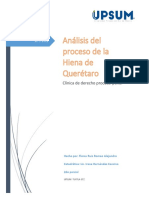 Analisis Del Proceso de La Hiena de Queretaro