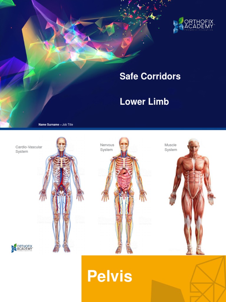 Safe Corridors Lower Limb PDF