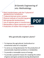 Chapter 18-Genetic Engineering of Plants: Methodology: Agrobacterium Tumefaciens