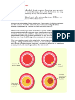 Assignment 4 - Cardiovascular Disease