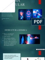 Sistema Articular