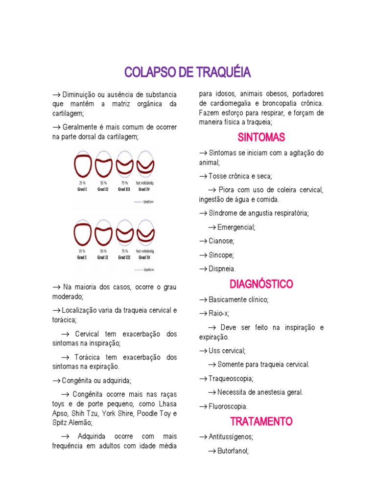 Colapso de traquéia: causas, sintomas, diagnóstico e tratamento | PDF ...