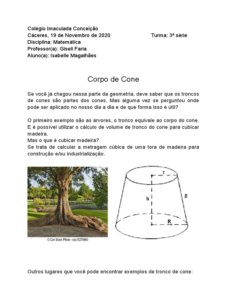 Aplicações do Corpo de Cone na Vida Diária | PDF