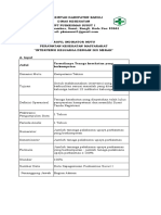 Profil Indikator Mutu Perkesmas