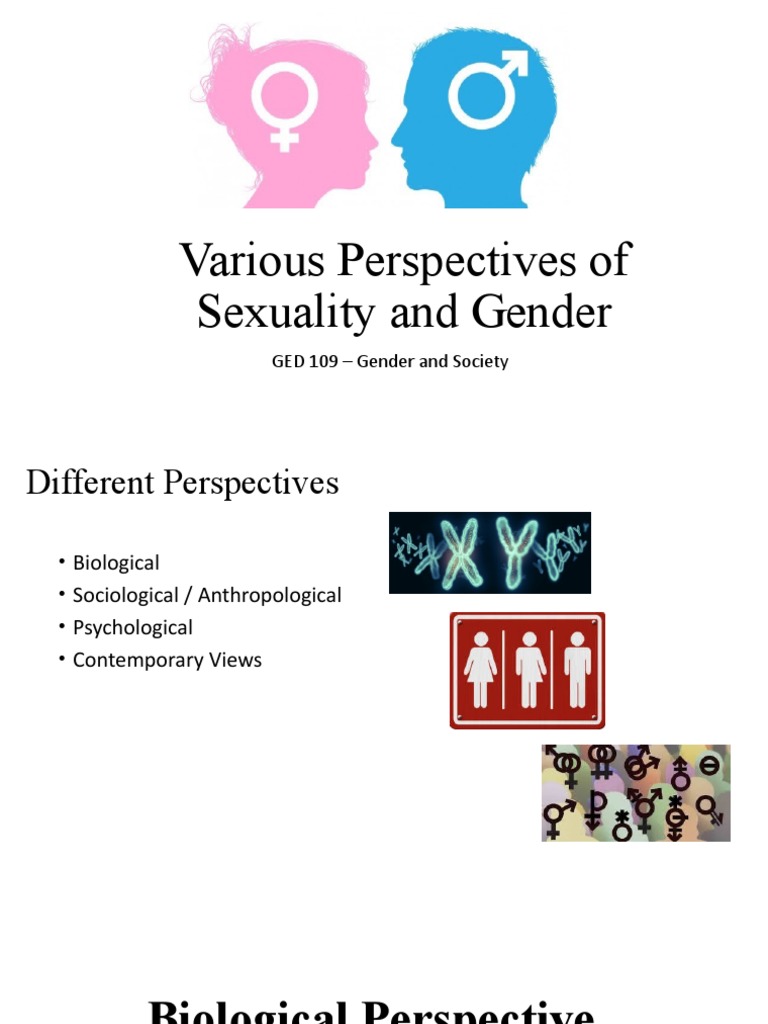 Lesson 2 Various Perspectives of Sexuality and Gender PDF Gender