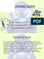 Teropong Bumi