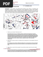 Historical Antecedent Activity