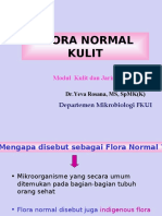 Flora Normal kulit-2010-UNTAN