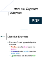 Lecture On: Digestive Enzymes