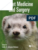 Ferret Medicine and Surgery