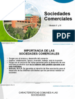 Modulo II y III Sociedades Comerciales