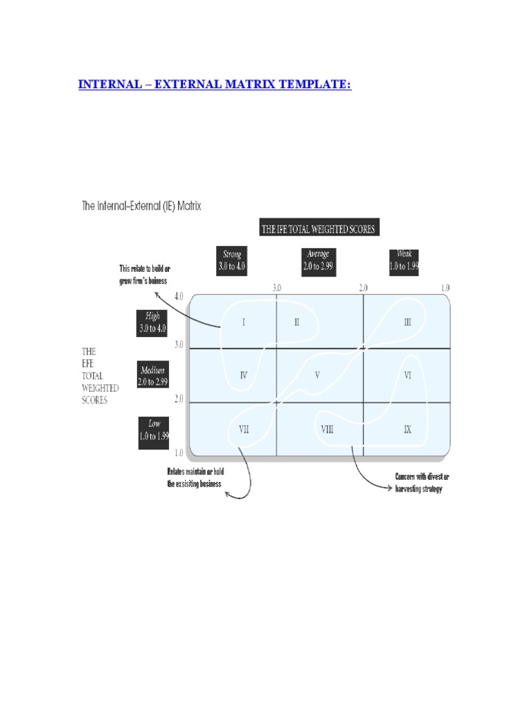 Internal - External Matrix Template | PDF