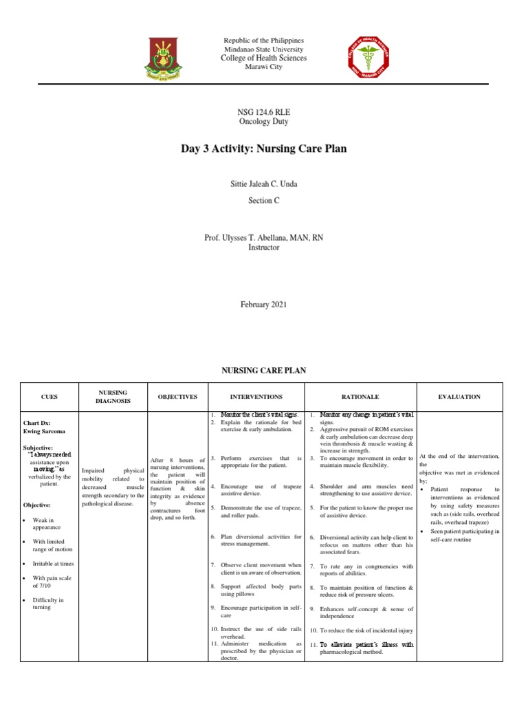 Day 3 Activity: Nursing Care Plan: College of Health Sciences | PDF ...