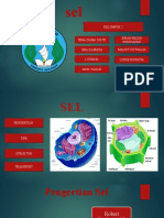 KLP 2 Biologi