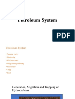 Petroleum System - AAF