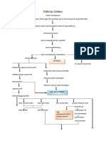 Pathway Tetanus