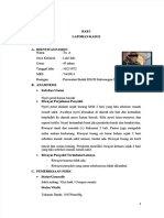 PDF Lapsus Appendisitis Perforata DD