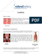 Lordosis.: What Is A Lordosis?