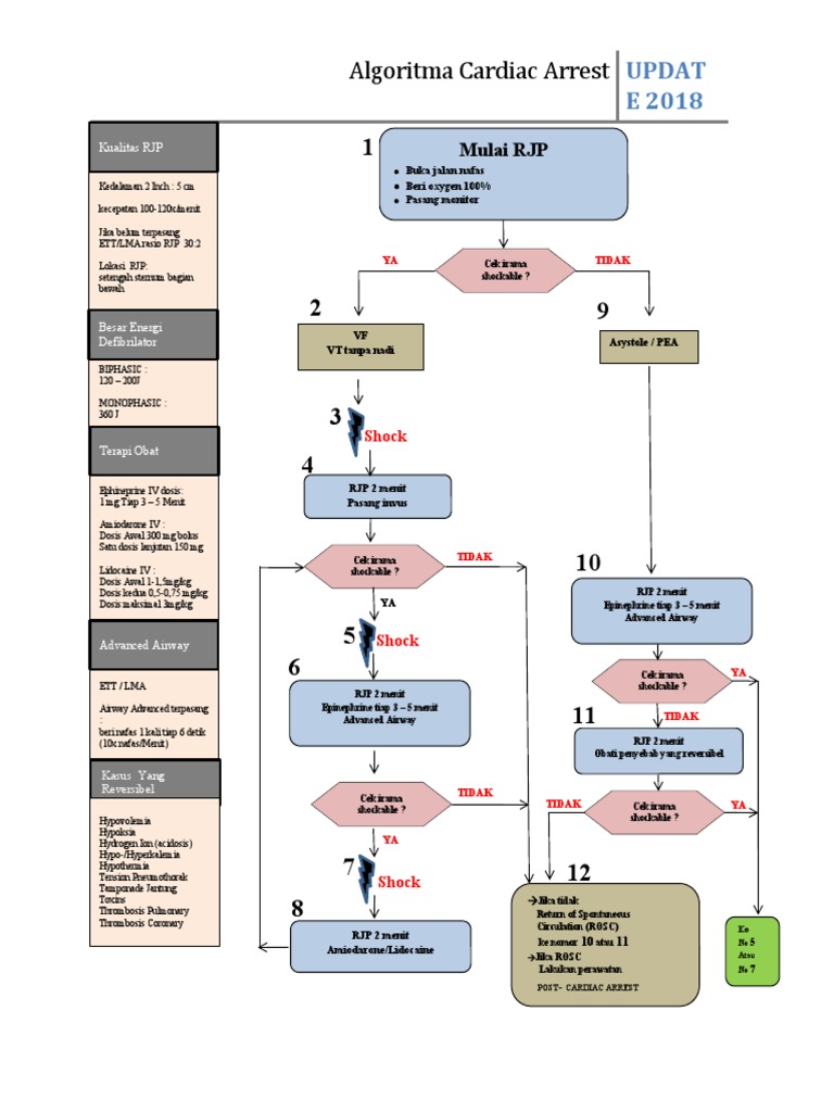 Algoritma Cardiac Arrest UPDAT E 2018 | PDF