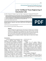 Cellular Substrates For Cell-Based Tissue Engineering of Human Corneal Endothelial Cells