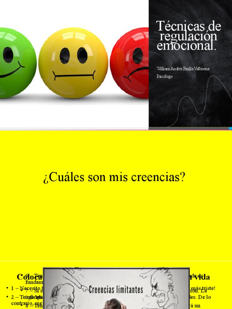 Técnicas de Regulación Emocional | PDF | Las emociones | La naturaleza ...